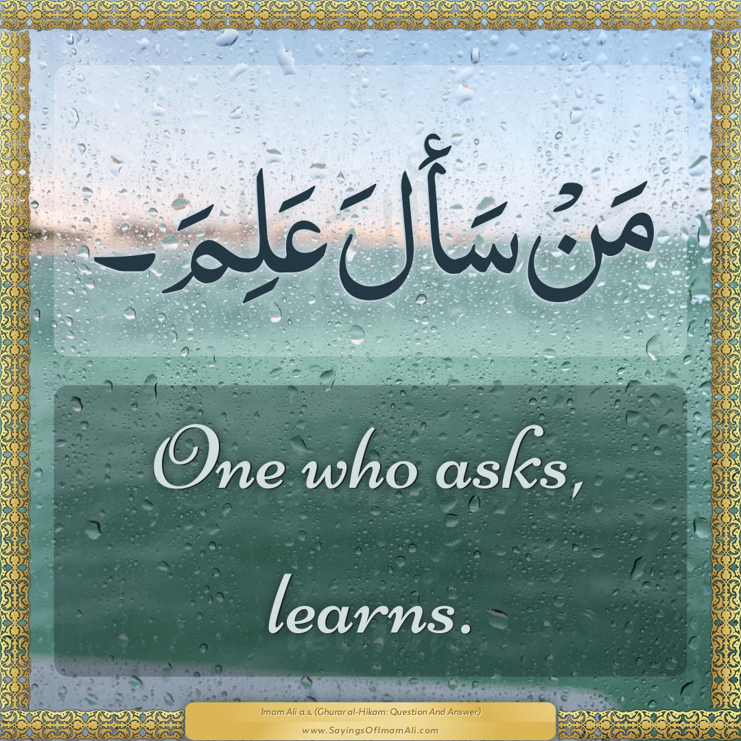 One who asks, learns.